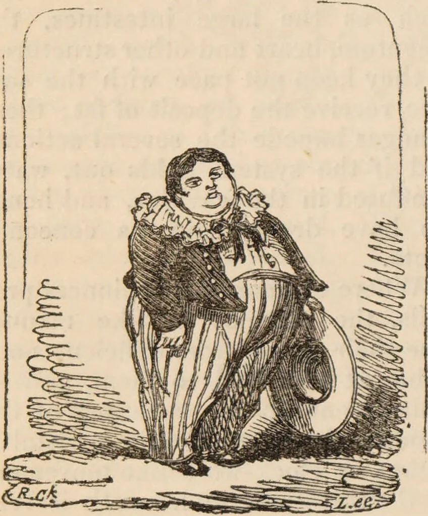 An illustration from The confessional ... An analysis of the causes and cure of melancholy, nervousness, mental and physical debility, arising from ill health, worldly anxiety ... To which is added an essay on corpulency-obesity ... A sketch of choice in marriage, phrenologically considered ... and a few comments on drunkenness / [Robert James Culverwell]., 1841, leaf 74