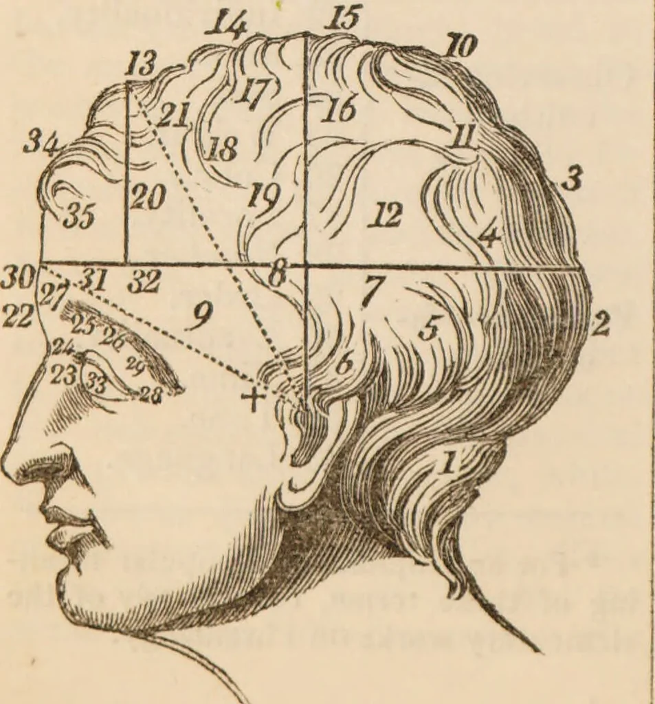 An illustration from The confessional ... An analysis of the causes and cure of melancholy, nervousness, mental and physical debility, arising from ill health, worldly anxiety ... To which is added an essay on corpulency-obesity ... A sketch of choice in marriage, phrenologically considered ... and a few comments on drunkenness / [Robert James Culverwell]., 1841, leaf 82