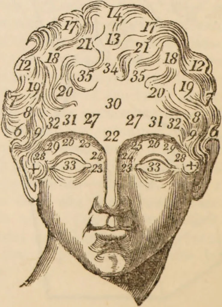 An illustration from The confessional ... An analysis of the causes and cure of melancholy, nervousness, mental and physical debility, arising from ill health, worldly anxiety ... To which is added an essay on corpulency-obesity ... A sketch of choice in marriage, phrenologically considered ... and a few comments on drunkenness / [Robert James Culverwell]., 1841, leaf 82