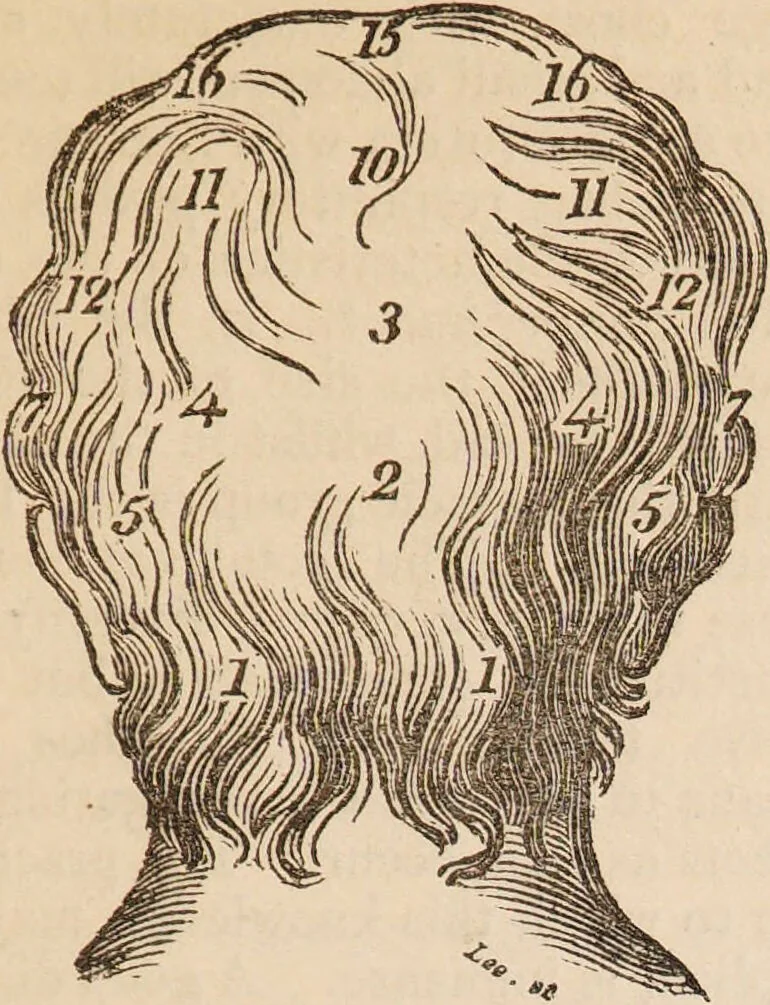 An illustration from The confessional ... An analysis of the causes and cure of melancholy, nervousness, mental and physical debility, arising from ill health, worldly anxiety ... To which is added an essay on corpulency-obesity ... A sketch of choice in marriage, phrenologically considered ... and a few comments on drunkenness / [Robert James Culverwell]., 1841, leaf 83