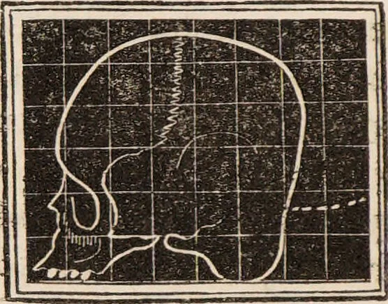 An illustration from Outlines of phrenology / [George Combe]., 1835, leaf 14