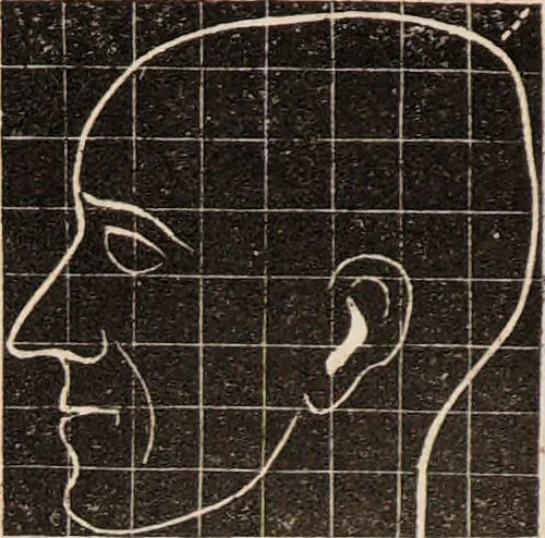 An illustration from Outlines of phrenology / [George Combe]., 1835, leaf 18