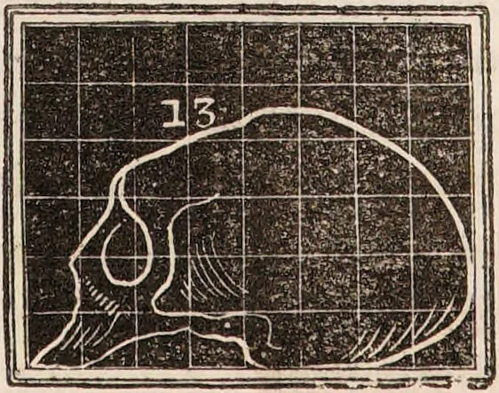 An illustration from Outlines of phrenology / [George Combe]., 1835, leaf 19