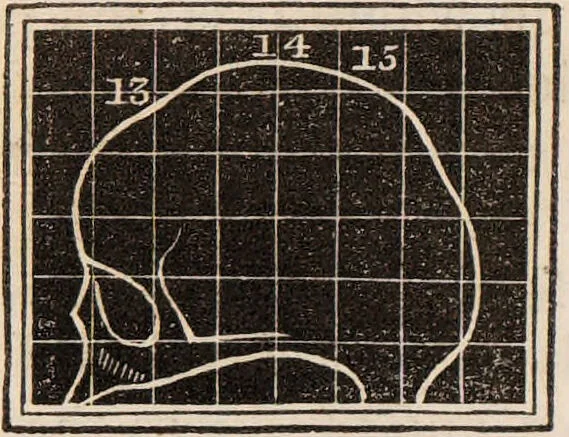 An illustration from Outlines of phrenology / [George Combe]., 1835, leaf 20