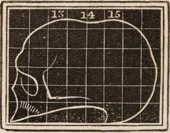 An illustration from Outlines of phrenology / [George Combe]., 1835, leaf 20
