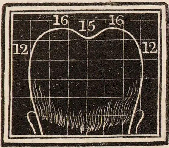 An illustration from Outlines of phrenology / [George Combe]., 1835, leaf 21