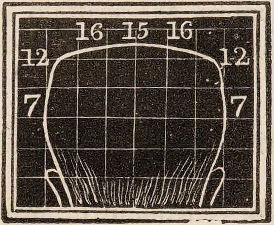 An illustration from Outlines of phrenology / [George Combe]., 1835, leaf 21