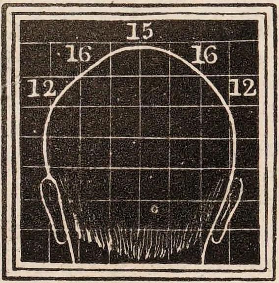 An illustration from Outlines of phrenology / [George Combe]., 1835, leaf 21