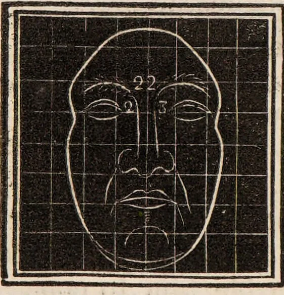 An illustration from Outlines of phrenology / [George Combe]., 1835, leaf 24