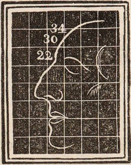 An illustration from Outlines of phrenology / [George Combe]., 1835, leaf 27