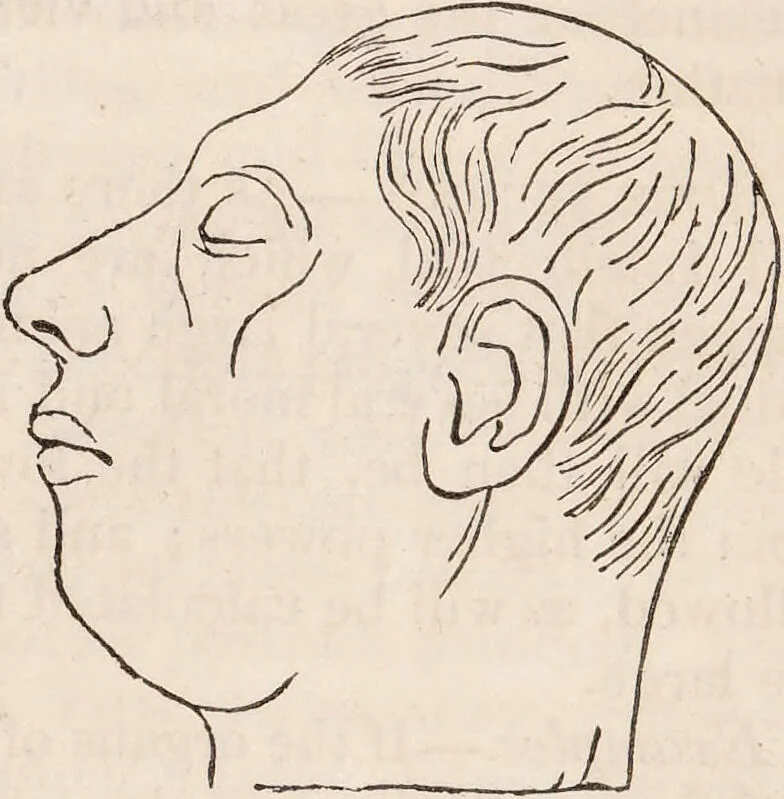 An illustration from Outlines of phrenology / [George Combe]., 1835, leaf 35