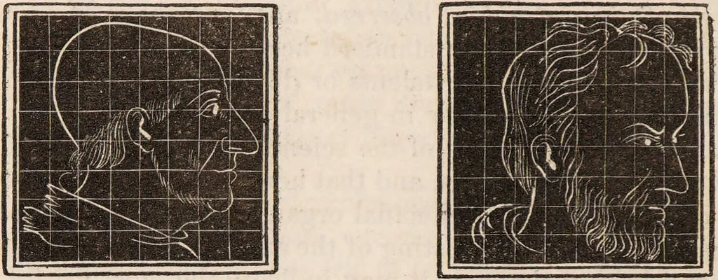 An illustration from Outlines of phrenology / [George Combe]., 1835, leaf 36