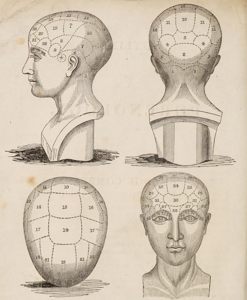 An illustration from Outlines of phrenology / [George Combe]., 1835, leaf 6