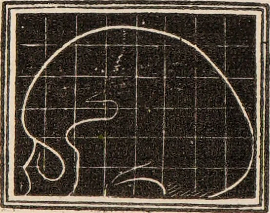 An illustration from Outlines of phrenology / [George Combe]., 1838, leaf 18