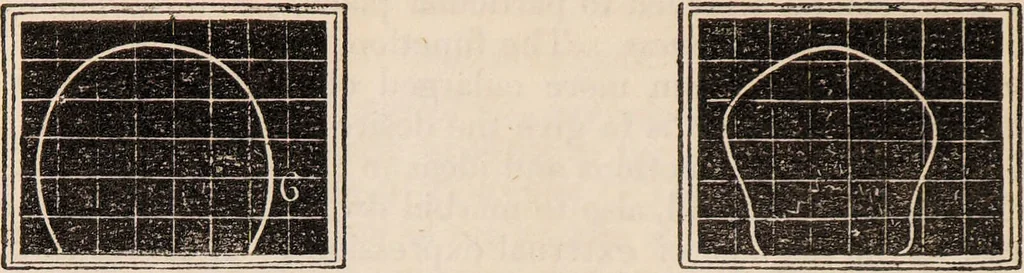 An illustration from Outlines of phrenology / [George Combe]., 1838, leaf 20
