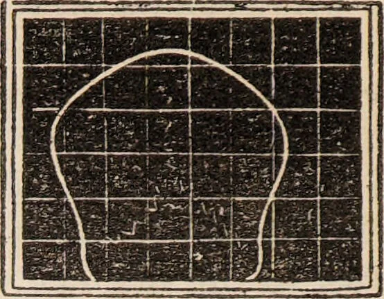 An illustration from Outlines of phrenology / [George Combe]., 1838, leaf 20