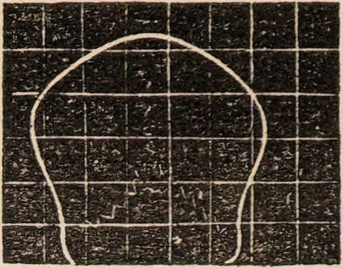 An illustration from Outlines of phrenology / [George Combe]., 1838, leaf 20