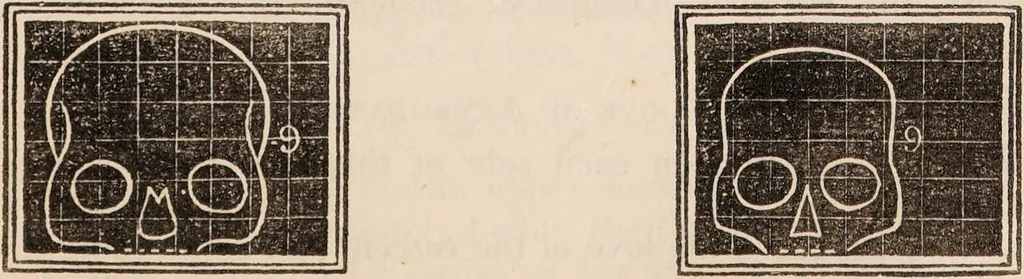An illustration from Outlines of phrenology / [George Combe]., 1838, leaf 21
