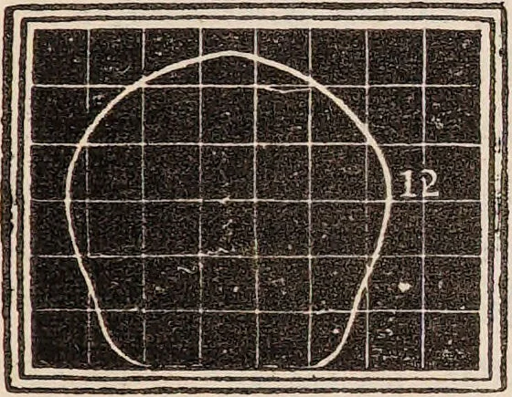 An illustration from Outlines of phrenology / [George Combe]., 1838, leaf 23