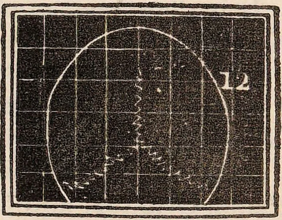 An illustration from Outlines of phrenology / [George Combe]., 1838, leaf 23