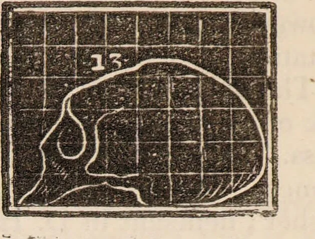 An illustration from Outlines of phrenology / [George Combe]., 1838, leaf 24