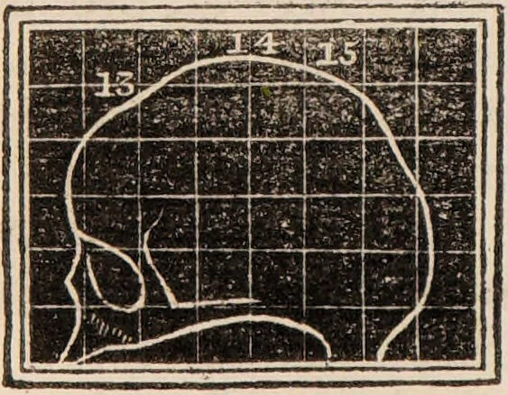 An illustration from Outlines of phrenology / [George Combe]., 1838, leaf 24