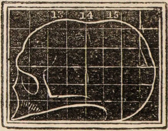 An illustration from Outlines of phrenology / [George Combe]., 1838, leaf 24