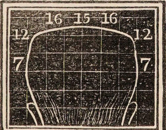 An illustration from Outlines of phrenology / [George Combe]., 1838, leaf 25