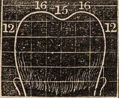An illustration from Outlines of phrenology / [George Combe]., 1838, leaf 25