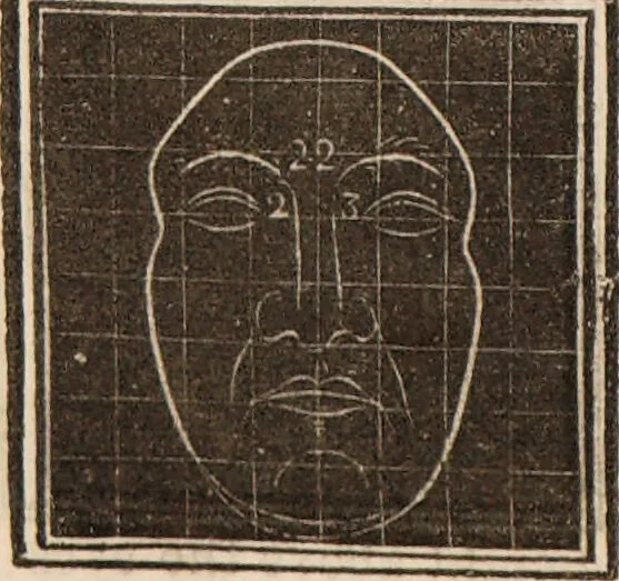 An illustration from Outlines of phrenology / [George Combe]., 1838, leaf 28