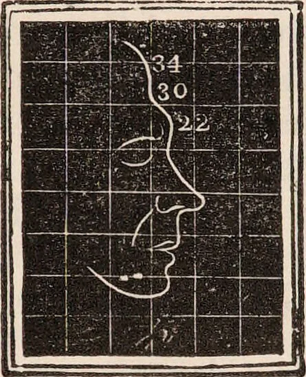 An illustration from Outlines of phrenology / [George Combe]., 1838, leaf 31