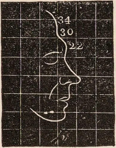 An illustration from Outlines of phrenology / [George Combe]., 1838, leaf 31