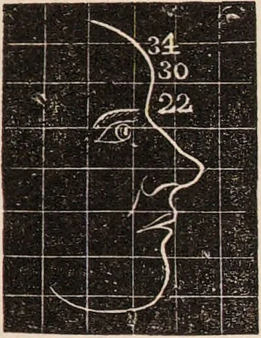 An illustration from Outlines of phrenology / [George Combe]., 1838, leaf 31