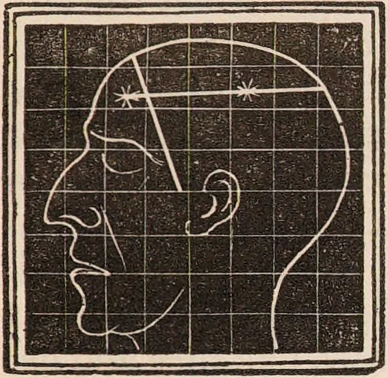 An illustration from Outlines of phrenology / [George Combe]., 1838, leaf 41