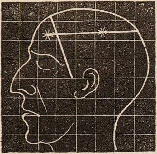 An illustration from Outlines of phrenology / [George Combe]., 1838, leaf 41