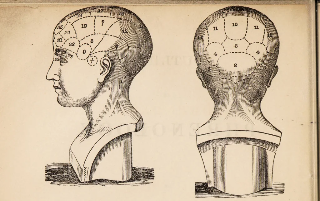 An illustration from Outlines of phrenology / [George Combe]., 1838, leaf 8