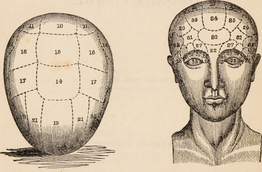 An illustration from Outlines of phrenology / [George Combe]., 1838, leaf 8