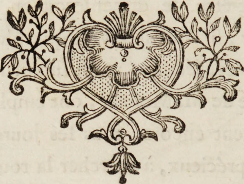 An illustration from Lettre d'un médecin de la Faculté de Paris a un médecin du College de Londres : ouvrage dans lequel on prouve contre M. Mesmer que le magnétisme animal n'existe pas / [Anon]., 1781, leaf 4