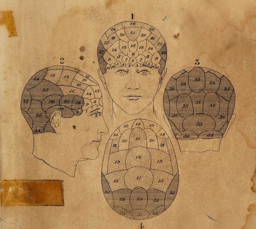An illustration from Manual of phrenology / by J. Epps., 1830, leaf 1
