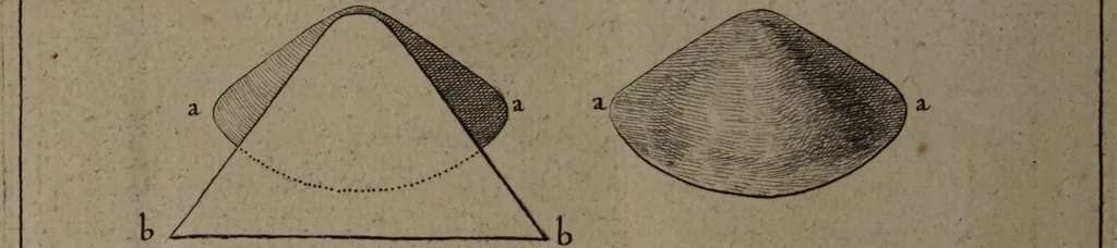 An illustration from Description abregée des principaux arts et metiers et des instrumens qui leurs sont propres. Le tout détaillée par figures / [Anon]., 1743, leaf 198