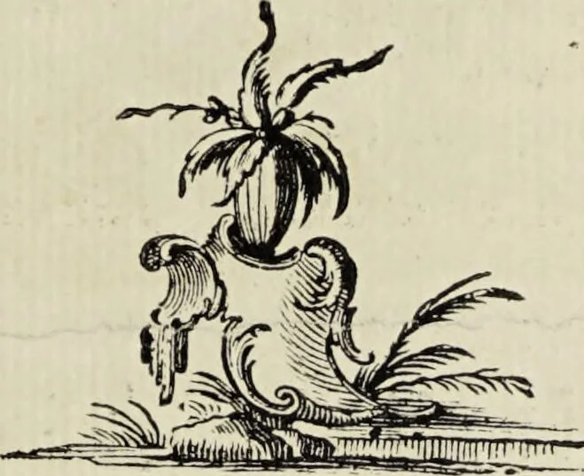 An illustration from Dr. Sulzers Abgekürtze Geschichte der Insecten. Nach dem Linaeischen System / [Johann Heinrich Sulzer]., 1776, leaf 45