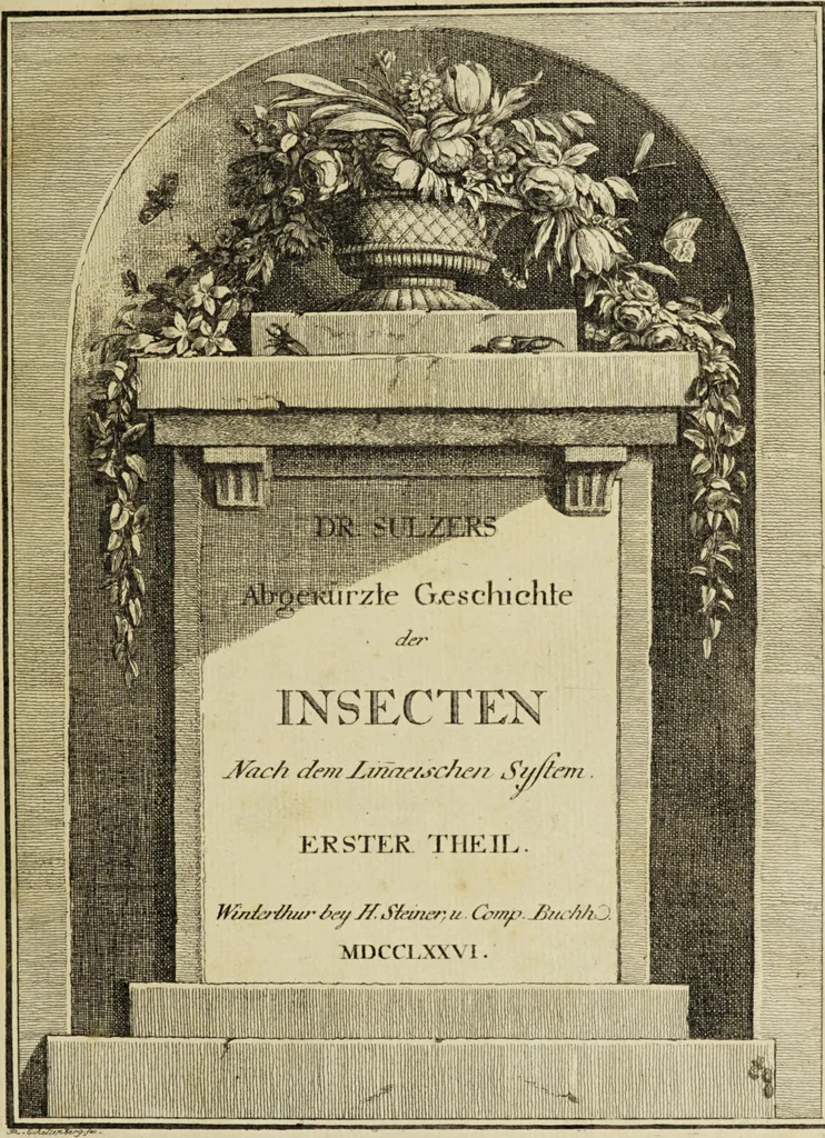 An illustration from Dr. Sulzers Abgekürtze Geschichte der Insecten. Nach dem Linaeischen System / [Johann Heinrich Sulzer]., 1776, leaf 5