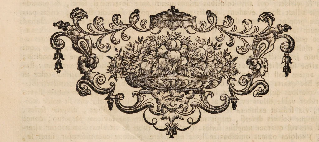 An illustration from Isaaci Newtoni Optices libri tres: accedunt ejusdem lectiones opticae, et opuscula omnia ad lucem et colores pertinentia sumpta ex Transactionibus philosophicis / [Sir Isaac Newton]., 1773, leaf 110