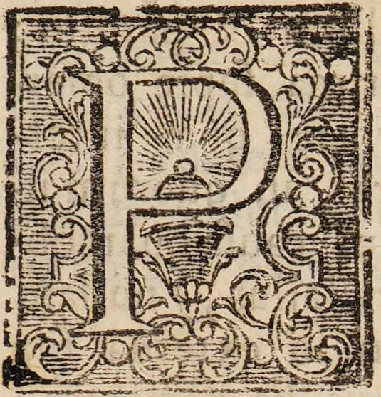 An illustration from Isaaci Newtoni Optices libri tres: accedunt ejusdem lectiones opticae, et opuscula omnia ad lucem et colores pertinentia sumpta ex Transactionibus philosophicis / [Sir Isaac Newton]., 1773, leaf 117