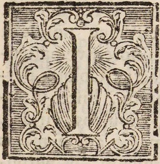 An illustration from Isaaci Newtoni Optices libri tres: accedunt ejusdem lectiones opticae, et opuscula omnia ad lucem et colores pertinentia sumpta ex Transactionibus philosophicis / [Sir Isaac Newton]., 1773, leaf 193