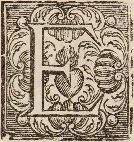 An illustration from Isaaci Newtoni Optices libri tres: accedunt ejusdem lectiones opticae, et opuscula omnia ad lucem et colores pertinentia sumpta ex Transactionibus philosophicis / [Sir Isaac Newton]., 1773, leaf 305