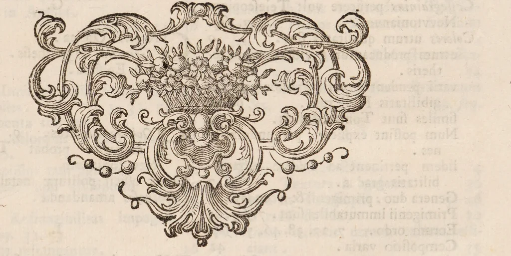 An illustration from Isaaci Newtoni Optices libri tres: accedunt ejusdem lectiones opticae, et opuscula omnia ad lucem et colores pertinentia sumpta ex Transactionibus philosophicis / [Sir Isaac Newton]., 1773, leaf 393