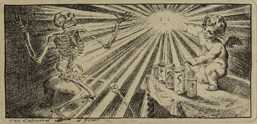 An illustration from Effigies penis humani, injectâ cerâ praeparati exhibens inventa anatomica aliquot nova / et proprio colore typis impressa à Joanne Ladmiral., 1741, leaf 7