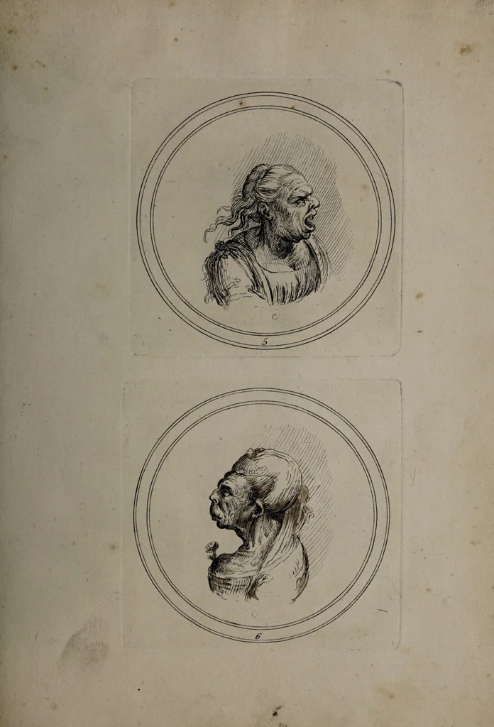 An illustration from Recueil de testes de caractère et de charges / dessinées par Leonard de Vinci ... et gravées par M. le C. de C. [i.e. le comte de Caylus]., 1730, leaf 35