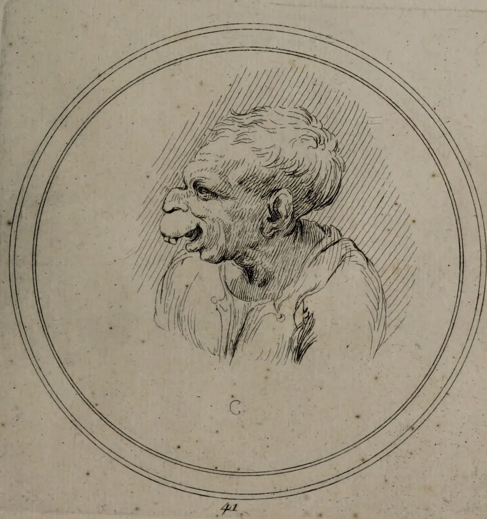 An illustration from Recueil de testes de caractère et de charges / dessinées par Leonard de Vinci ... et gravées par M. le C. de C. [i.e. le comte de Caylus]., 1730, leaf 43